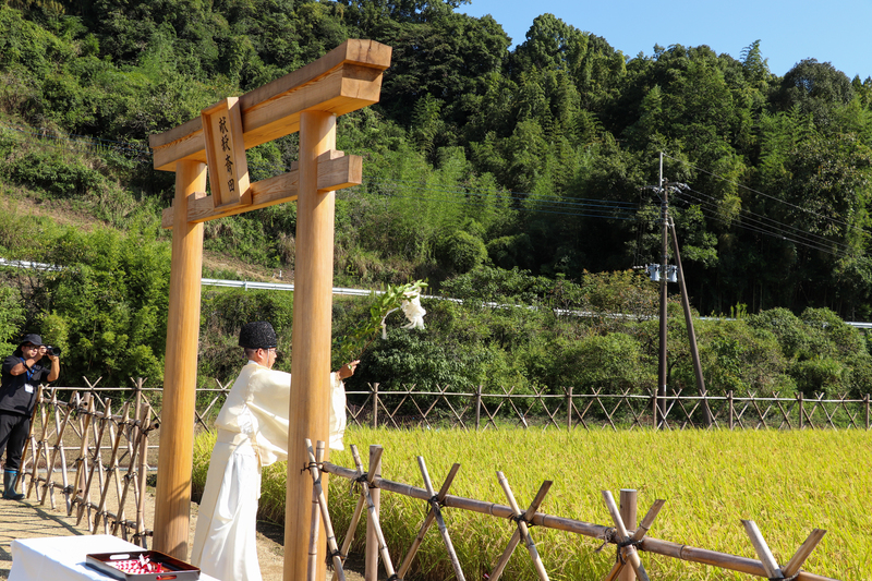 神事が行われている様子