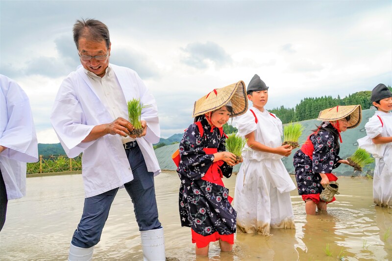 植える稲を手に田んぼに入った参加者の写真
